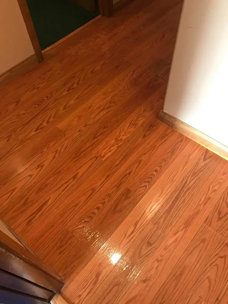 All Floor Type cleaning