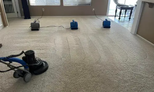 Carpet Cleaning Services Carpet Cleaning Services