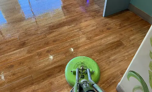 Carpet Cleaning Services Carpet Cleaning Services