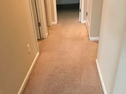 Commercial Carpet Cleaning After