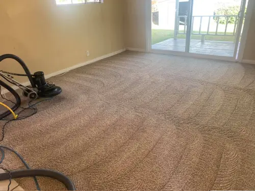 Residence Carpet Cleaning After