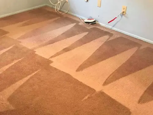 Carpet Cleaning After