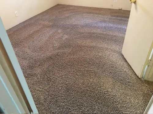Pet Odor Removal After
