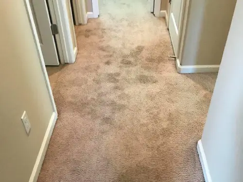 Commercial Carpet Cleaning Before