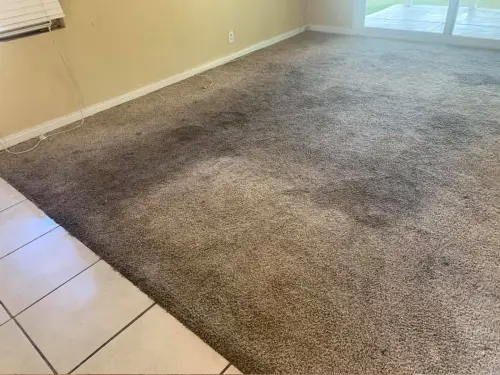 Residence Carpet Cleaning Before