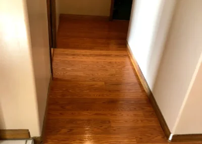 Hardwood Floor Cleaning