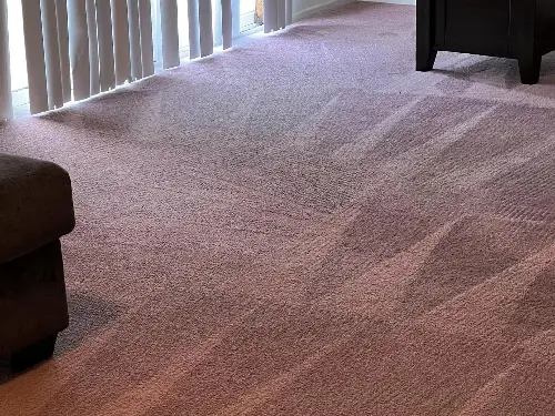 Living Room Carpet Cleaning After
