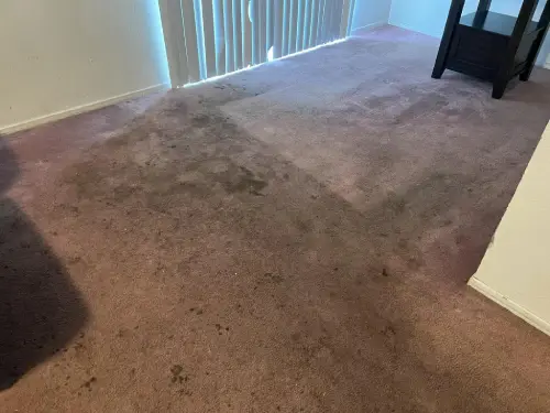 Living Room Carpet Cleaning Before