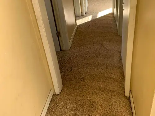 Bedroom Passage Carpet Cleaning After