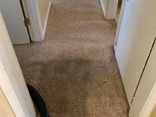 Bedroom Passage Carpet Cleaning Before