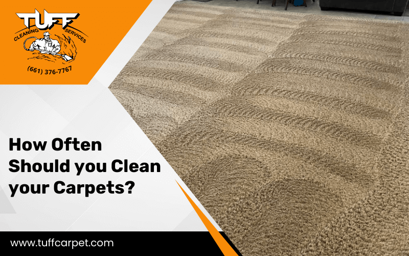 How Often Should You Clean Your Carpets? How Often Should You Clean Your Carpets?