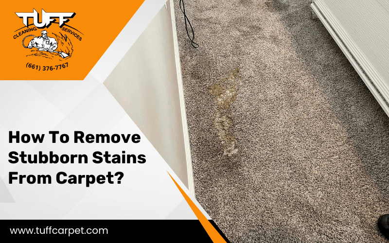 How To Remove Stubborn Stains From Carpet? How To Remove Stubborn Stains From Carpet?
