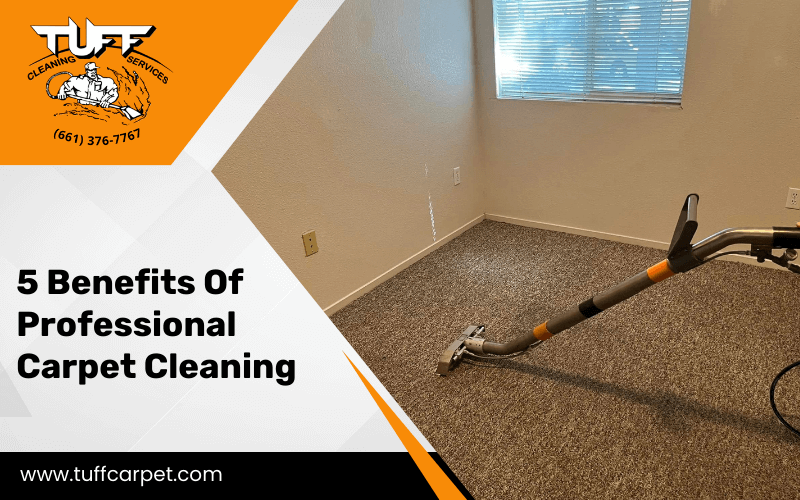 5 Benefits Of Professional Carpet Cleaning