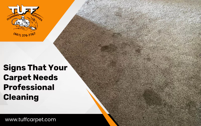 Signs That Your Carpet Needs Professional Cleaning